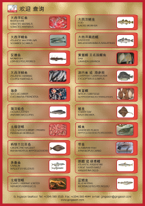 G.INGASON_CHINA_productlist