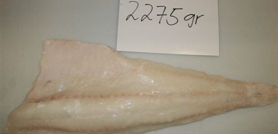 LIGHT SALTED FILLETS
