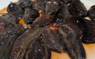 END OF  SEASON IN  SEA CUCUMBER STARTING IN AUGUST TO SEPTEMBER  2022